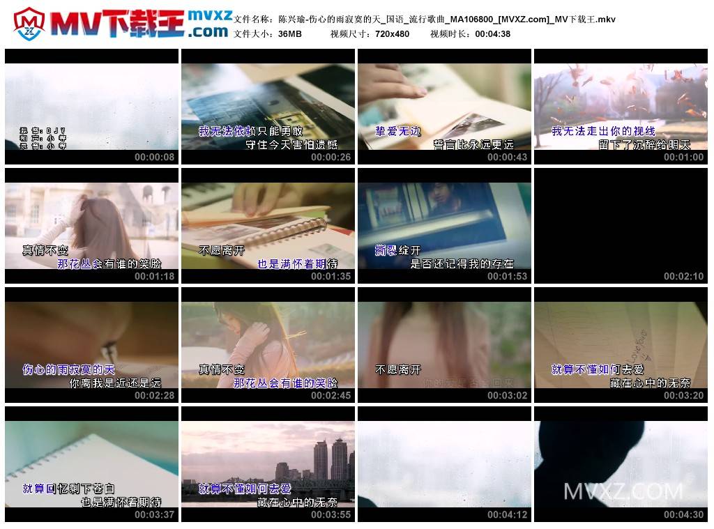 陈兴瑜-伤心的雨寂寞的天_国语_流行歌曲_MA106800